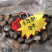 鲍鱼，每件20斤，品质保证
