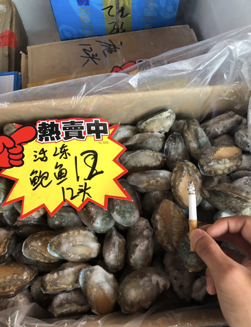 鲍鱼，每件20斤，品质保证