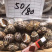 花螺每件24斤，品质保证。