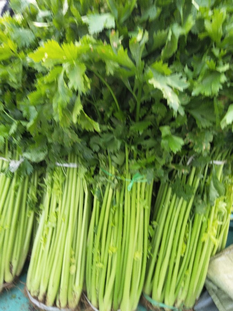 芹菜