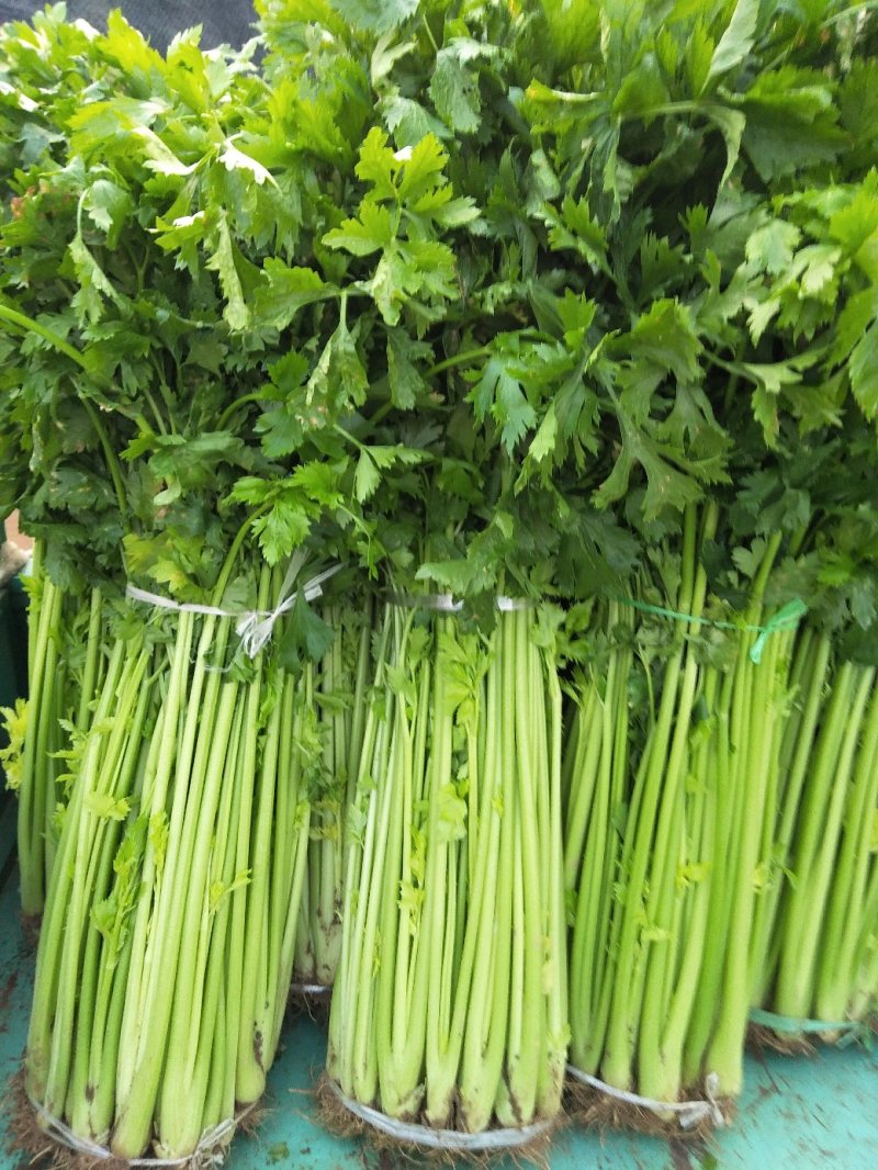 芹菜