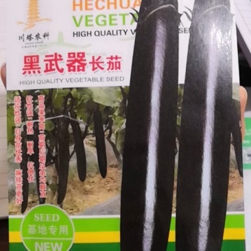 紫黑长茄种子耐热耐旱黑武士长茄茄子种子