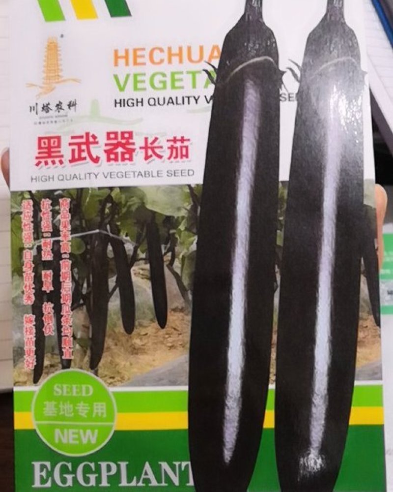 紫黑长茄种子耐热耐旱黑武士长茄茄子种子