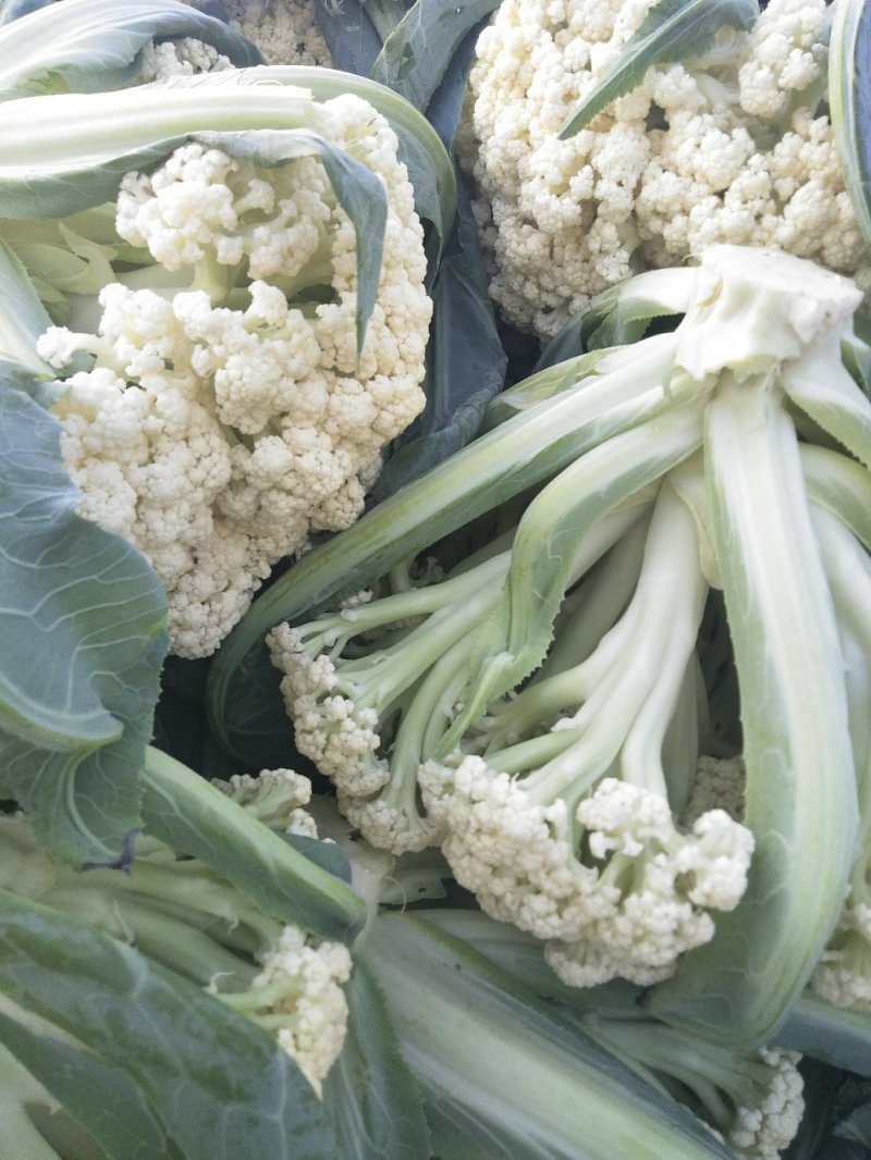 菜花