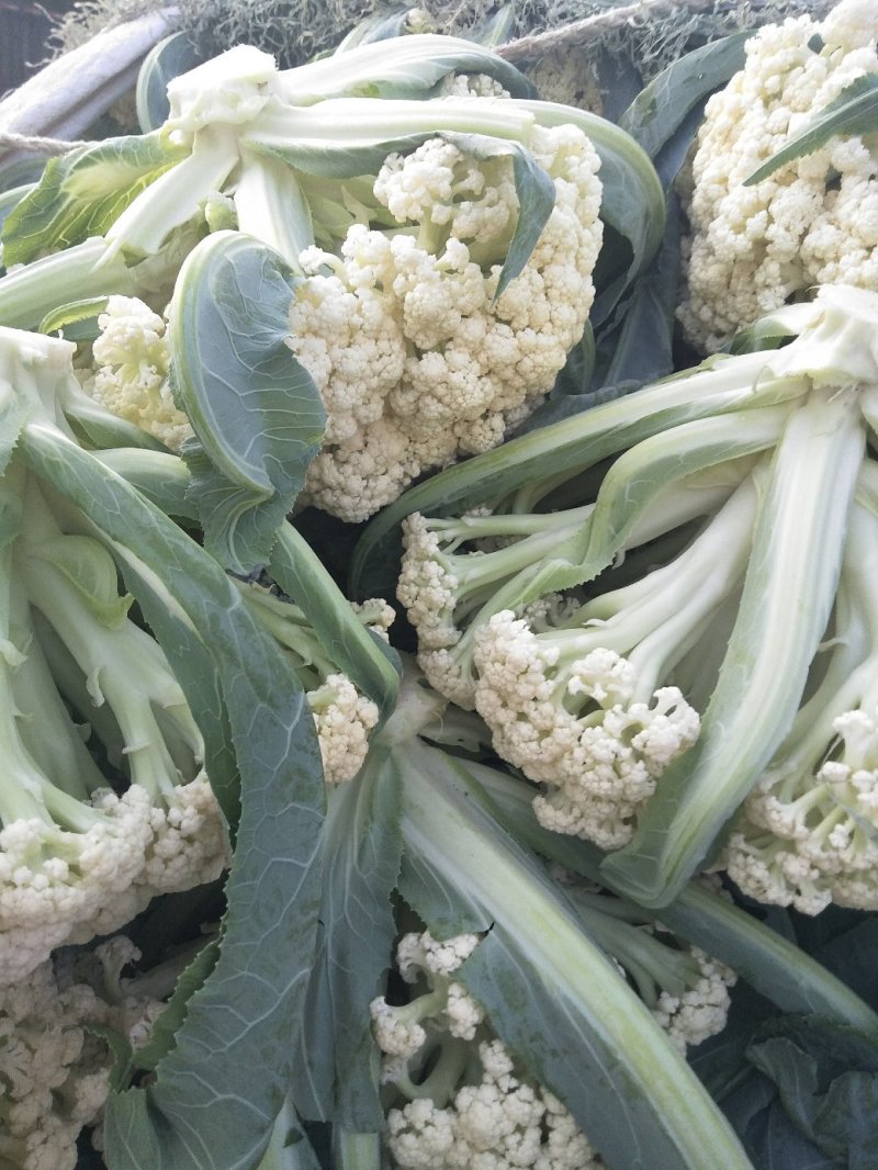 菜花