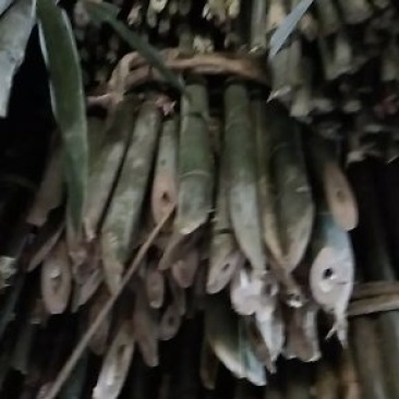 豇豆(架杆)