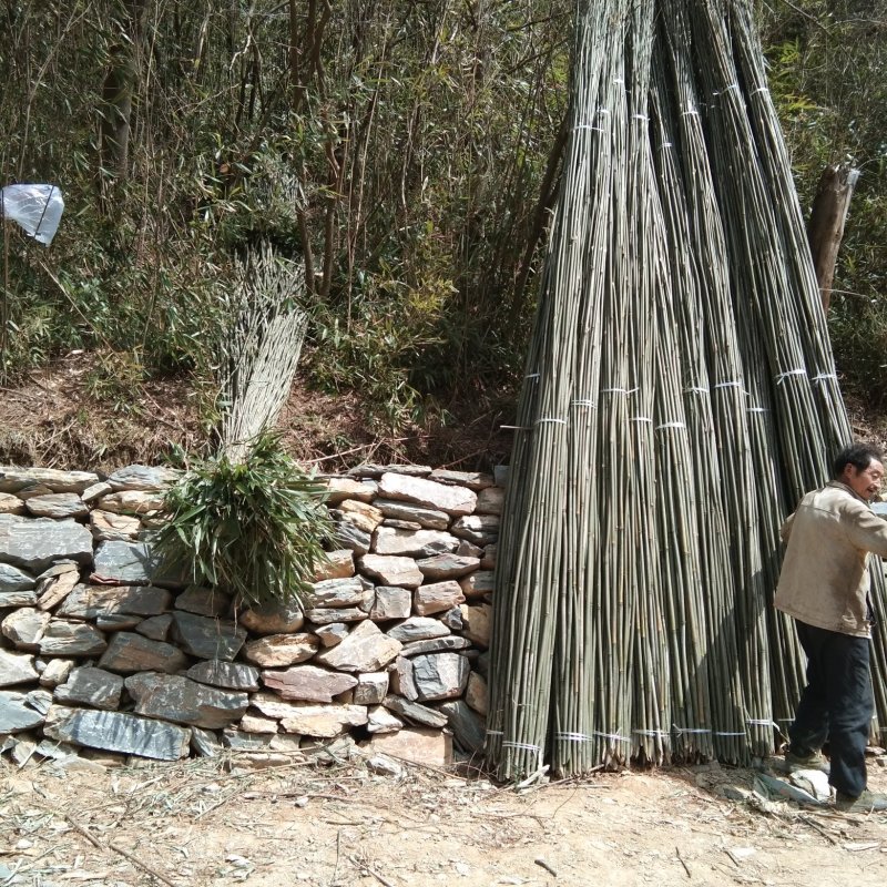 豇豆(架杆)