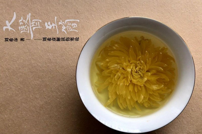 优质菊花茶，一杯一朵。大量上市中，可批发