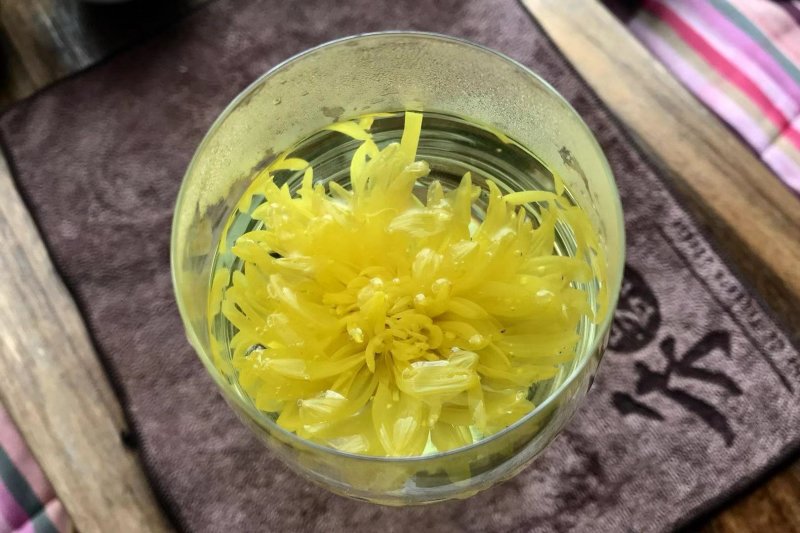 优质菊花茶，一杯一朵。大量上市中，可批发