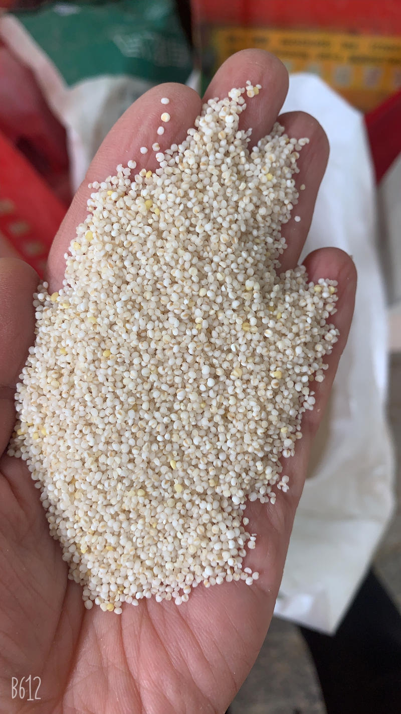 22年新小米黄小米东北小黄米源头工厂月子米