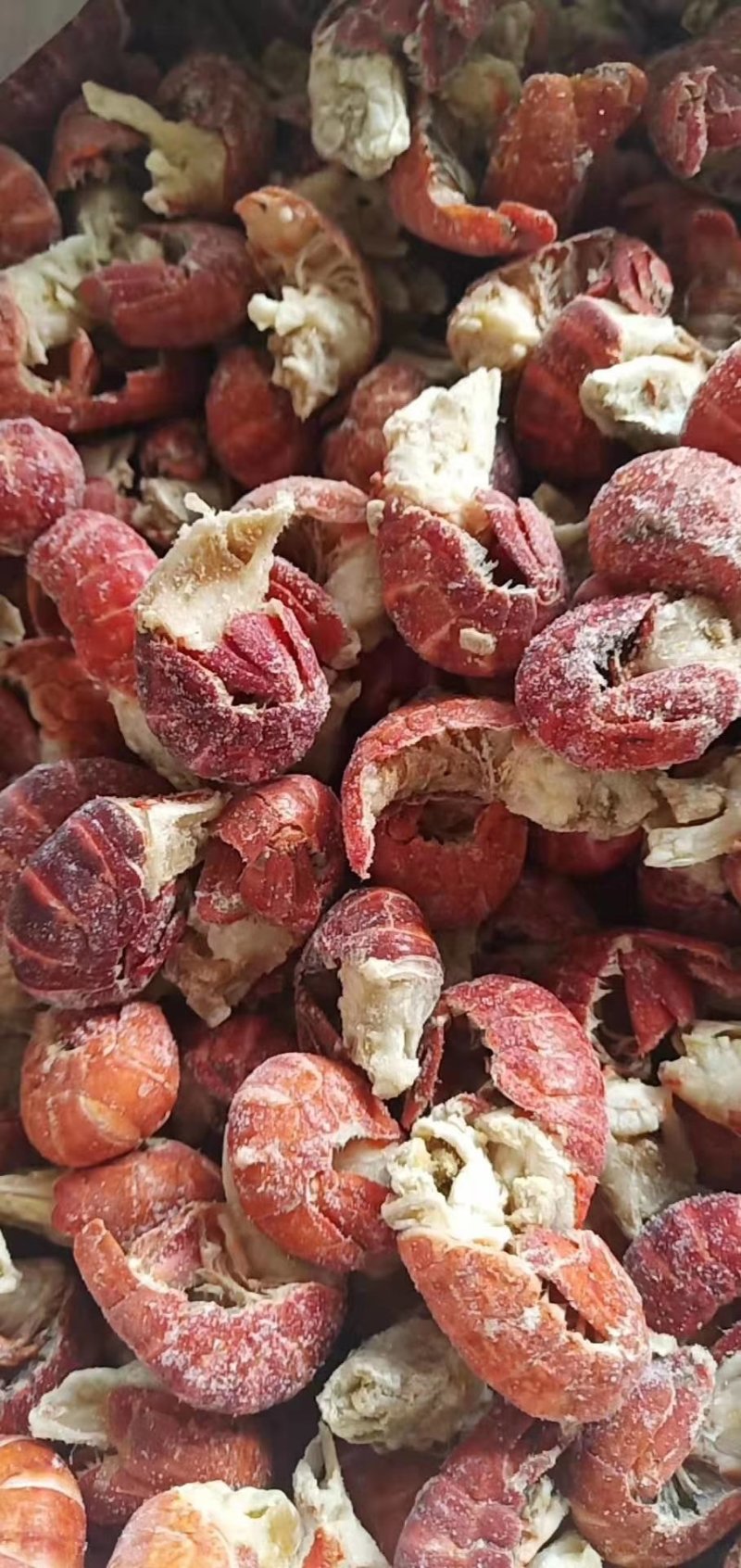 特价鲜冻虾尾