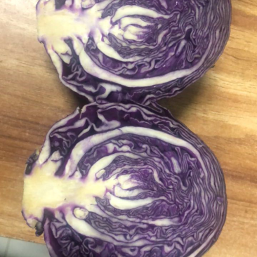紫甘蓝