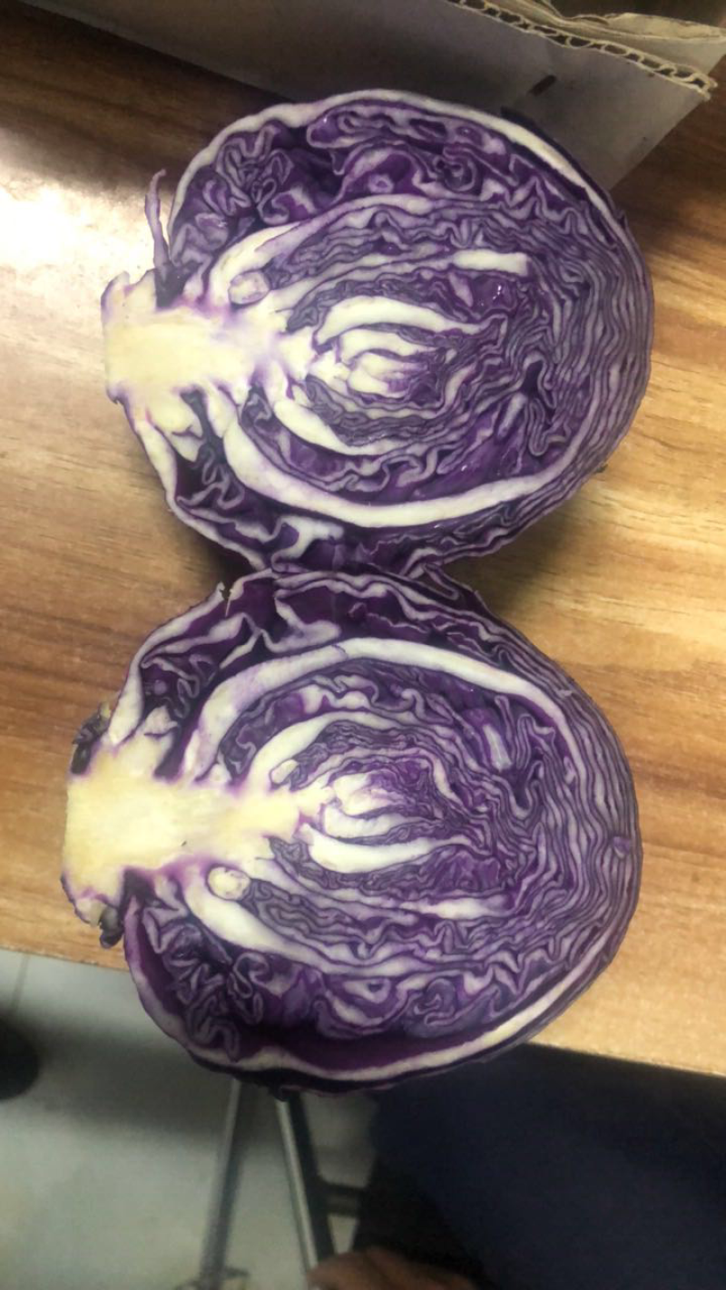 紫甘蓝