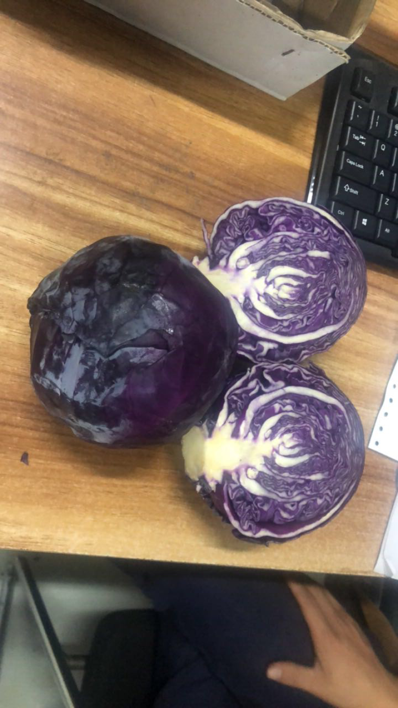紫甘蓝