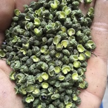 《畅销》新青麻椒净麻度高颜色好批发新货量大
