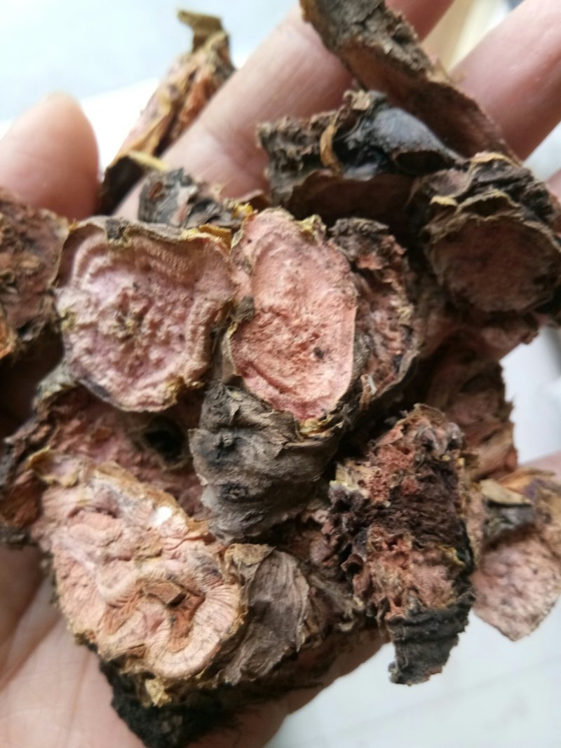 红景天西藏大花正品高含量药用一公斤起包邮