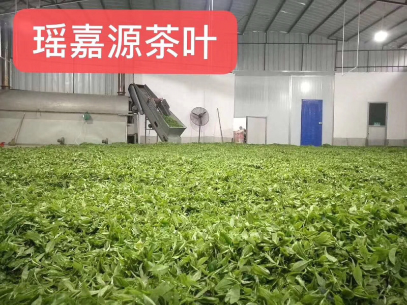 绿茶