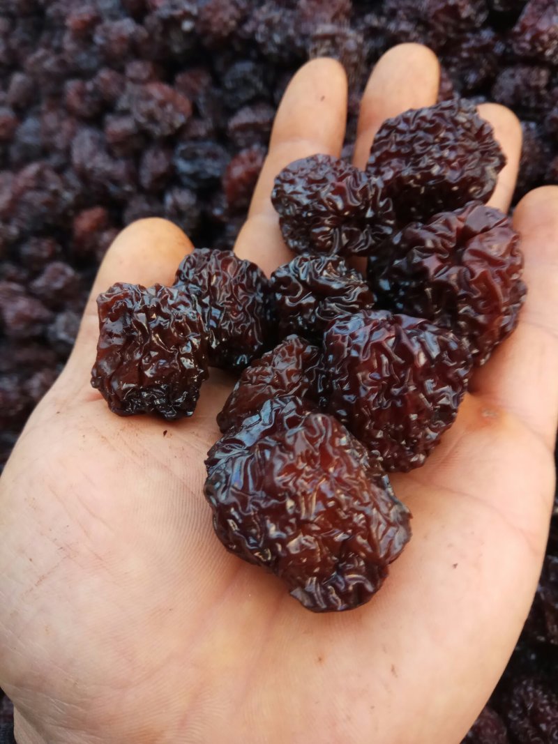 茌平特产乌枣，黑枣，又名焦枣，熏枣
