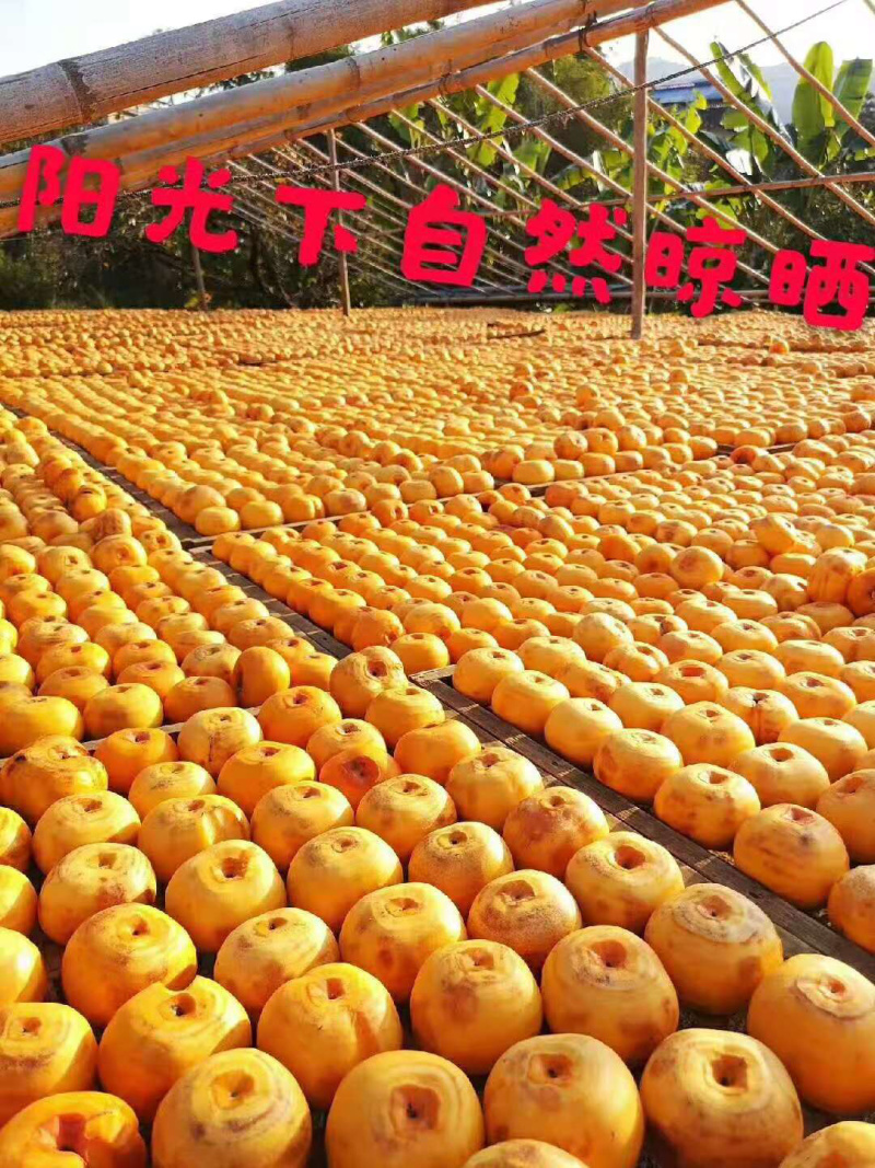 【包邮头茬】广西柿饼自家霜降柿饼一件也是批发价