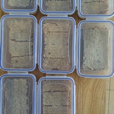 【蜂场直销】整脾切割巢蜜老蜂巢蜜纯蜜纯蜜假一陪十