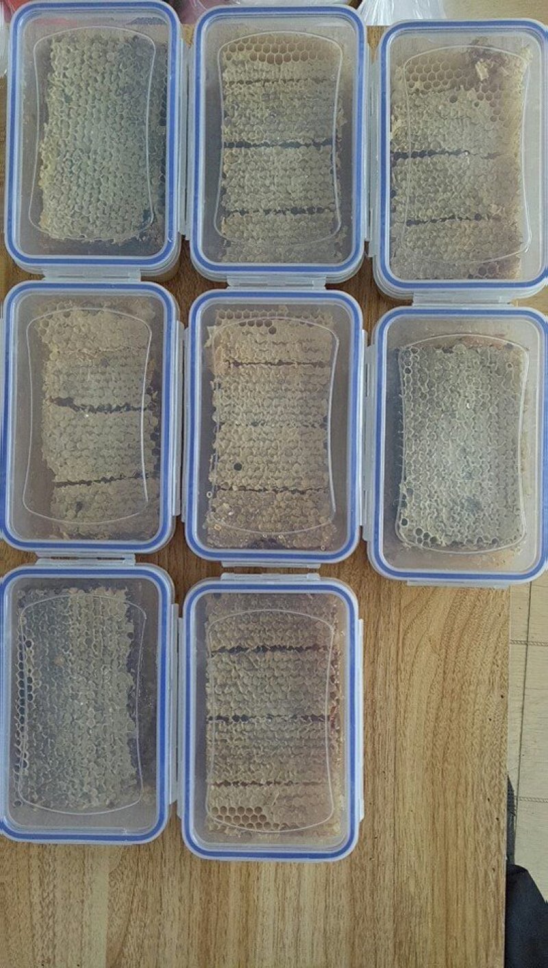 【蜂场直销】整脾切割巢蜜老蜂巢蜜纯蜜纯蜜假一陪十
