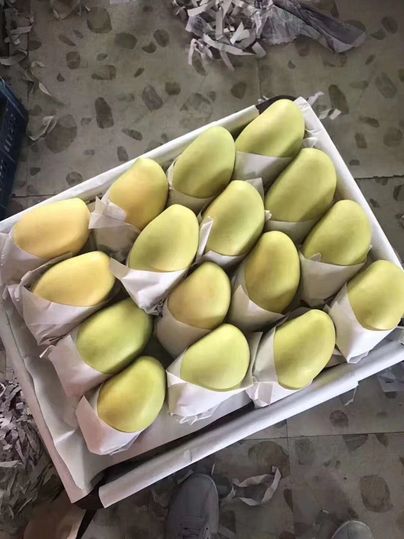 一级半高乐蜜芒果玉芒大青芒