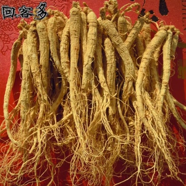长白山网红人参白参生晒参[包邮]