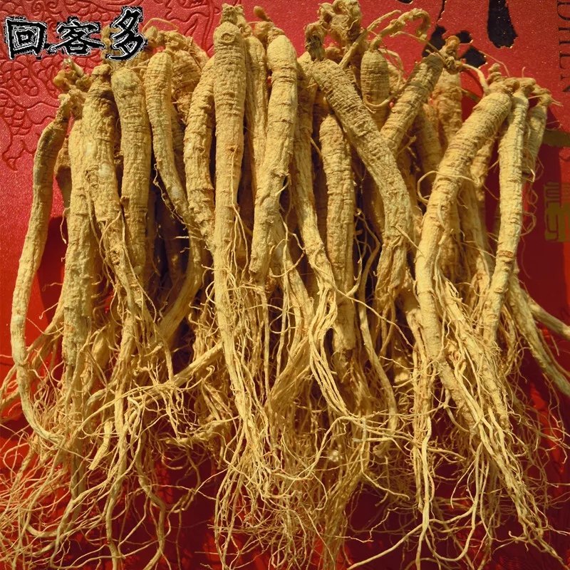 长白山网红人参白参生晒参[包邮]