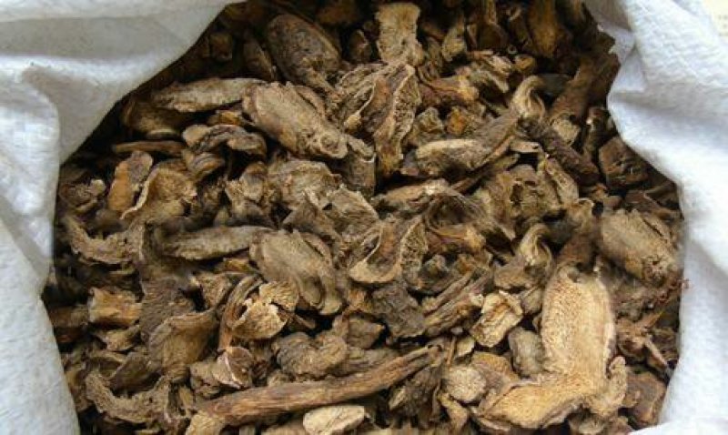 华山参千余品种供应承接订单