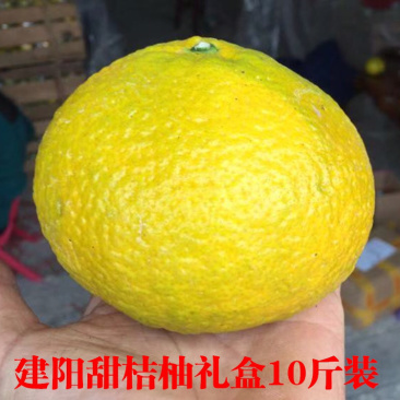 建阳甜桔柚新鲜水果10斤礼盒装一件代发招代理