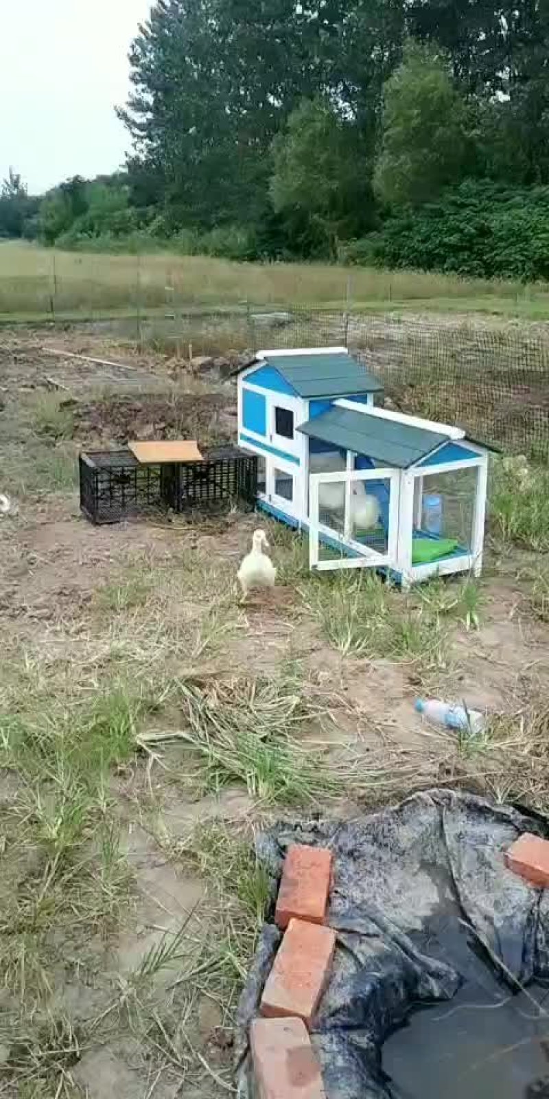 农田出租