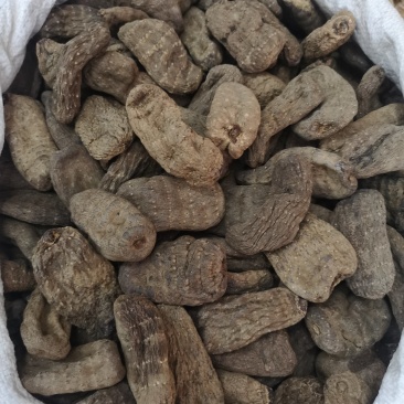 昭通小草坝天麻