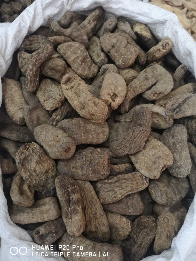 昭通小草坝天麻