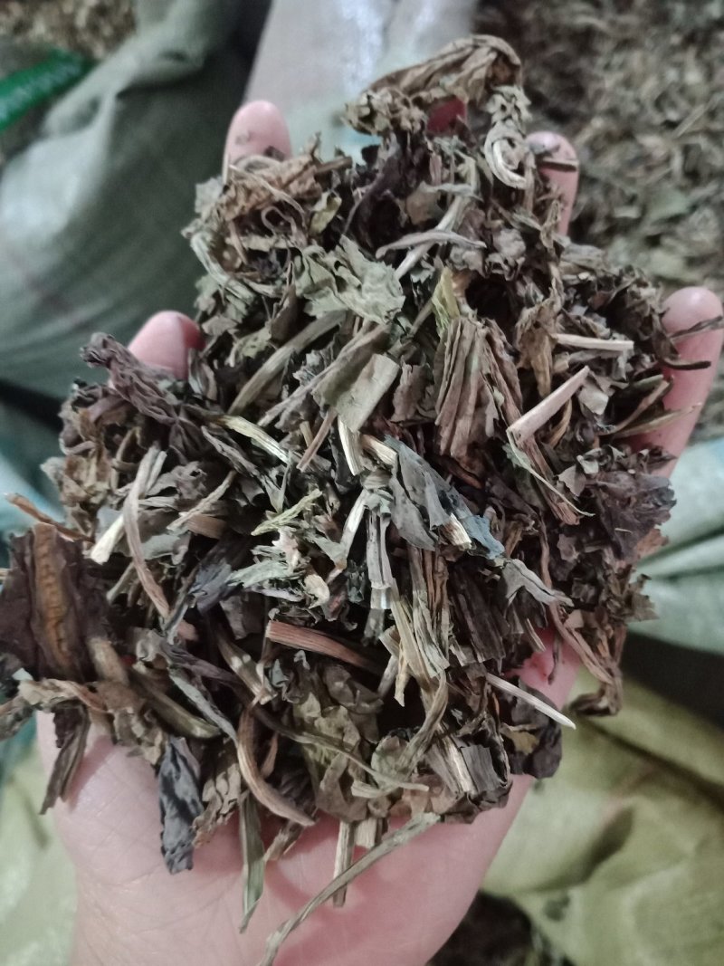 大青叶各种草药中药材批发零售各种规格草药欢迎选购