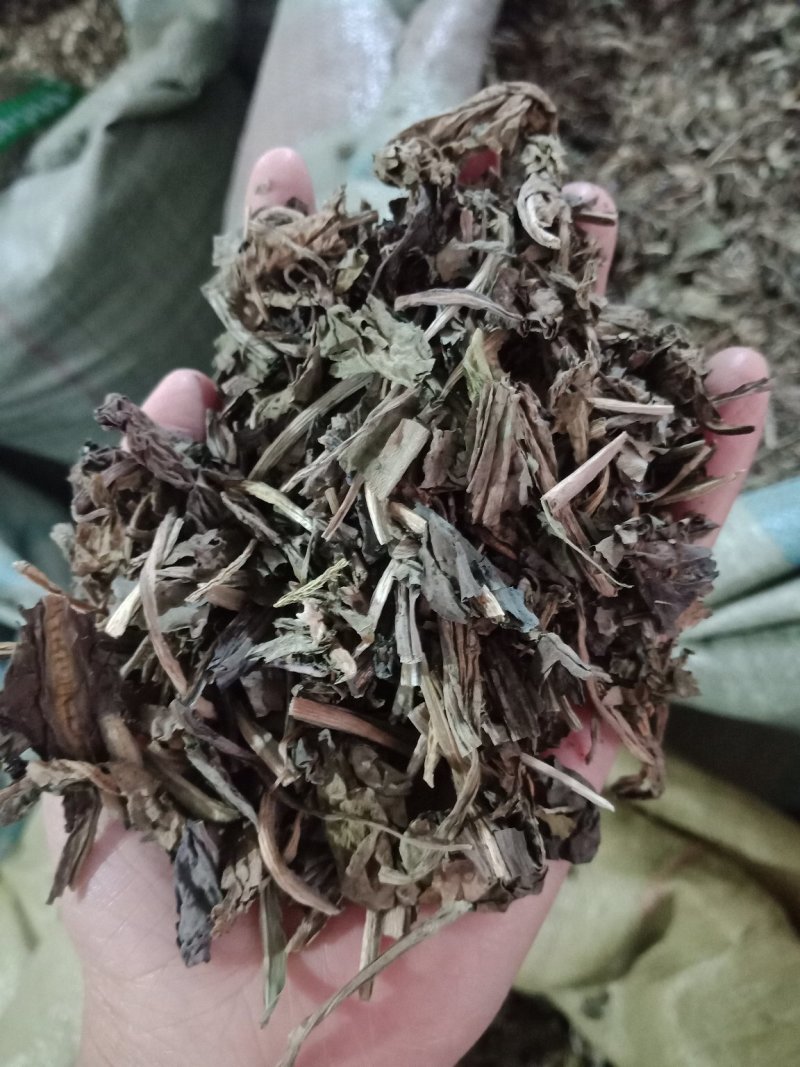 大青叶各种草药中药材批发零售各种规格草药欢迎选购