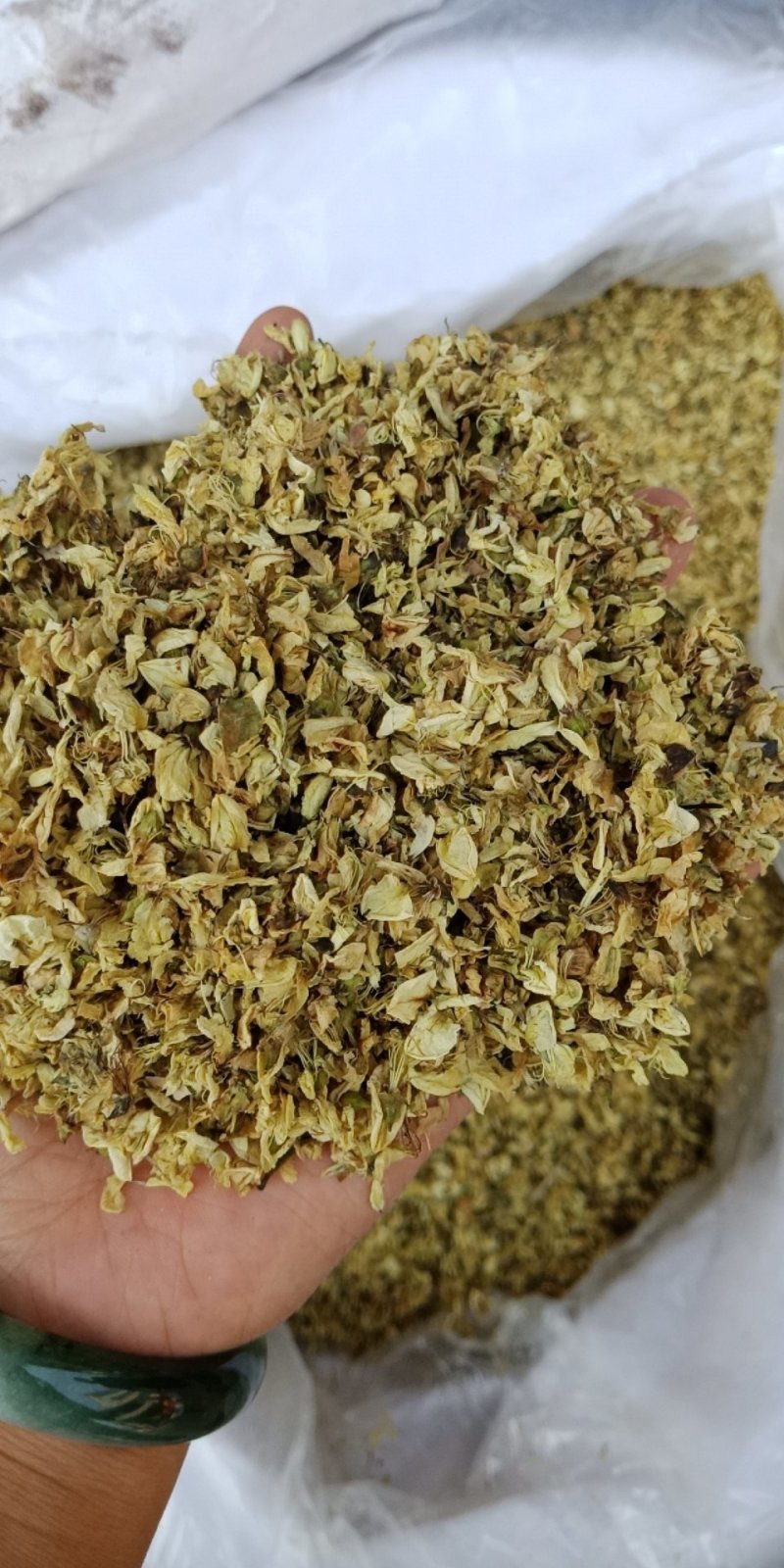 槐花药用干净无硫各种中药材批发零售各种规格欢迎选购