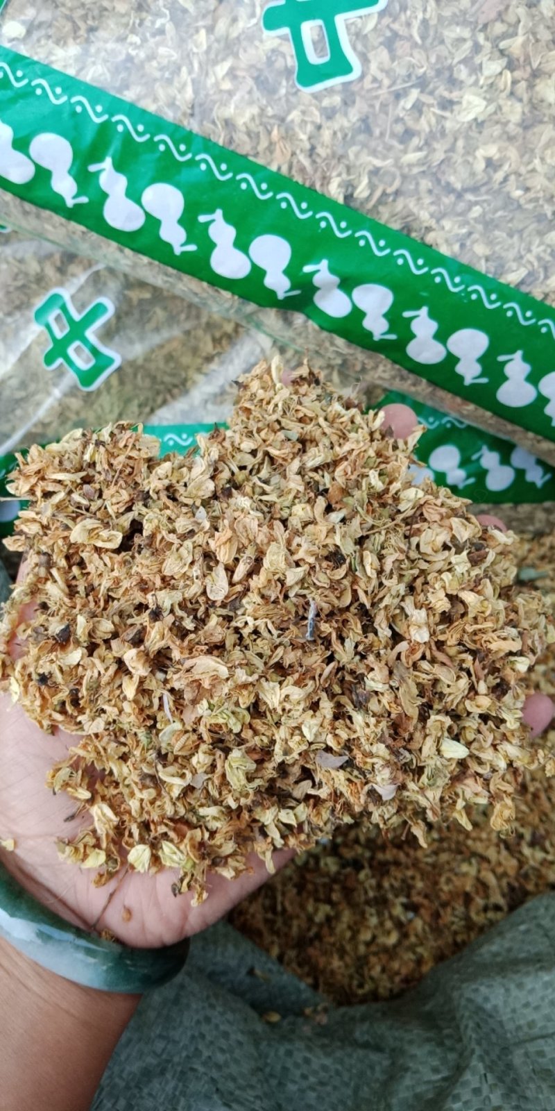 槐花药用干净无硫各种中药材批发零售各种规格欢迎选购