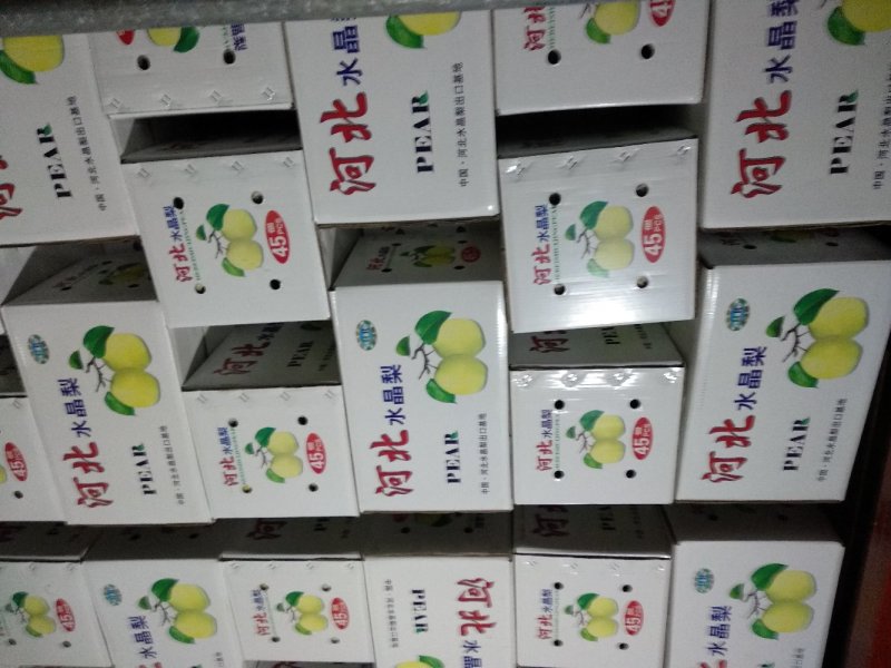 雪花梨，一手货源，赵州特产，口感甘甜，只收一分代收费
