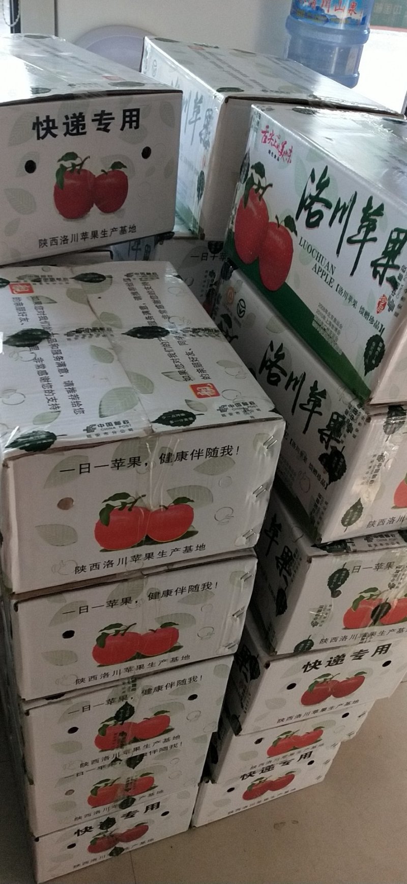 陕西黄龙富士苹果