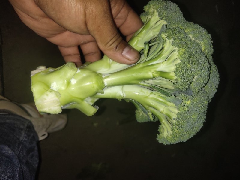 西蓝花，刚刚上市，颜色绿，质量非常好，有需要的联系