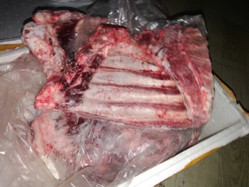 新鲜冷冻猪前排糖醋桥头排骨食材批发排骨条肋排条商用包邮