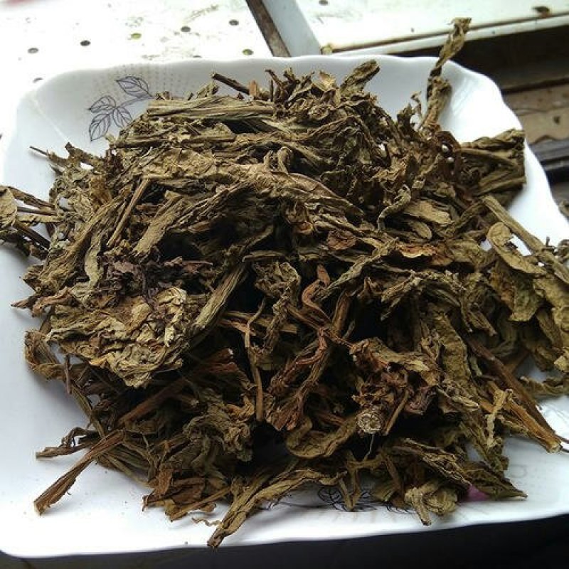 六耳棱六棱菊千余品种供应承接订单