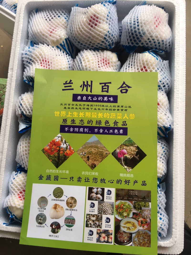 兰州百合保健养生产品