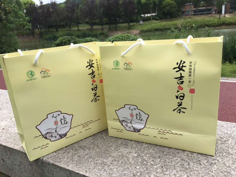 安吉白茶明前头采250克罐装原产地高山茶园直销