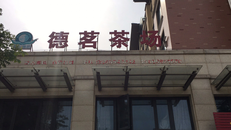 安吉白茶明前头采250克罐装原产地高山茶园直销