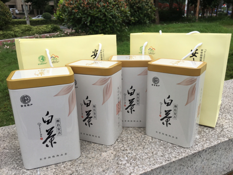 安吉白茶明前头采250克罐装原产地高山茶园直销