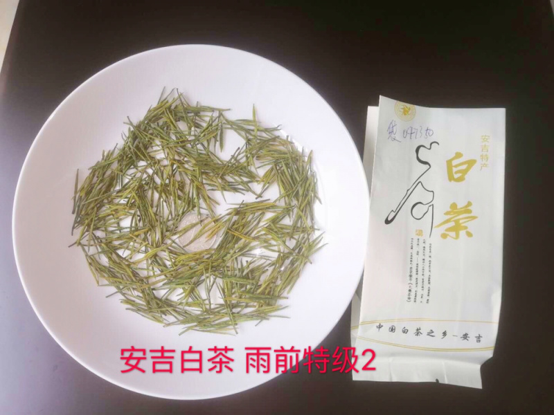 25新茶！冷库清仓！安吉原产地茶农直供高山安吉白茶雨前