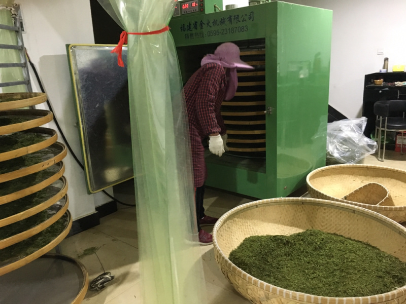 25新茶！冷库清仓！安吉原产地茶农直供高山安吉白茶雨前
