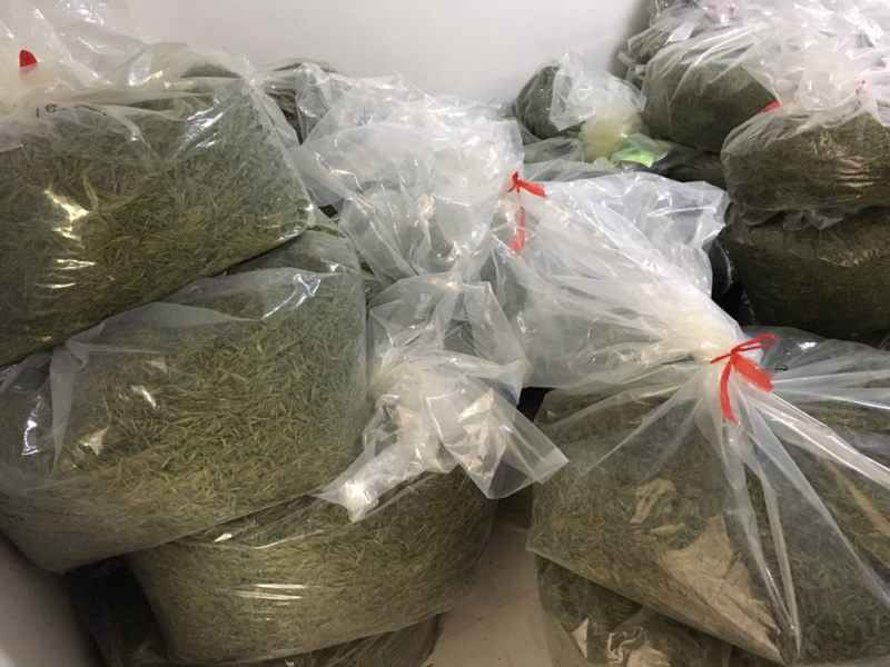 25新茶！冷库清仓！安吉原产地茶农直供高山安吉白茶雨前