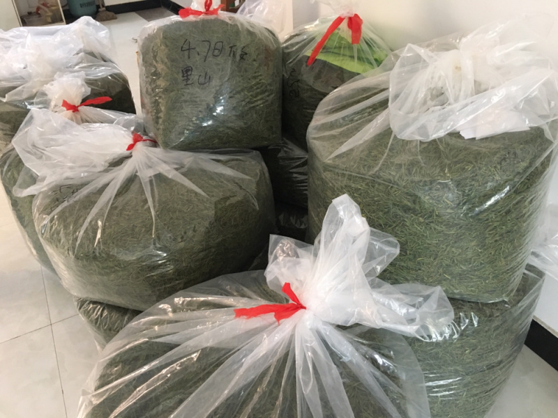 25新茶！冷库清仓！安吉原产地茶农直供高山安吉白茶雨前